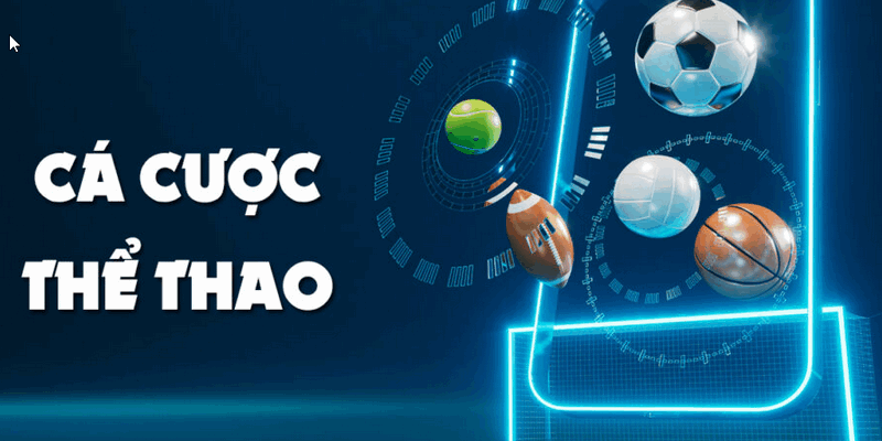 Cá cược thể thao sôi động và cực kỳ náo nhiệt